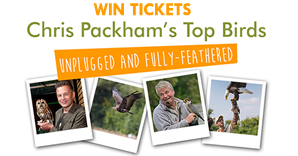 Hawk Conservancy Trust competition