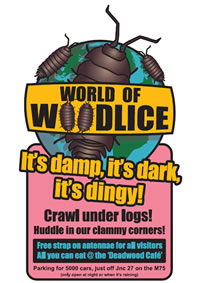 World of Woodlice